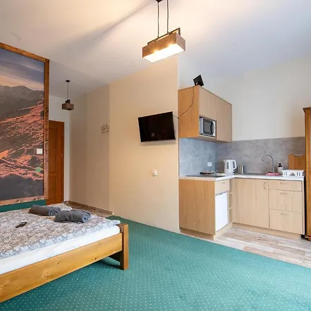 U Symuna Centrum Lejlighed Zakopane