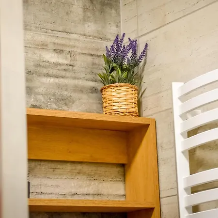 U Symuna Centrum Apartament